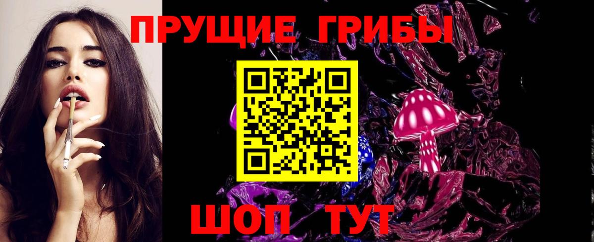Псилоцибиновые грибы GOLDEN TEACHER  Галлюциногенные грибы Psilocybe  Новоалександровск  Вход с VPN 