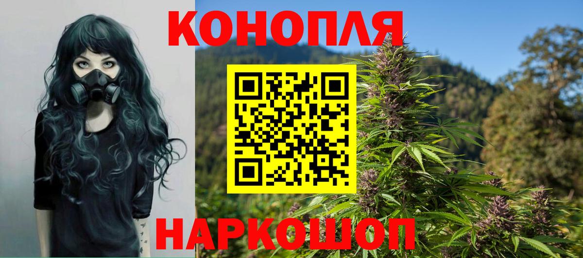 Бошки Шишки план  Конопля SATIVA & INDICA  Новоалександровск  Конопля THC 21%  Вход с VPN 